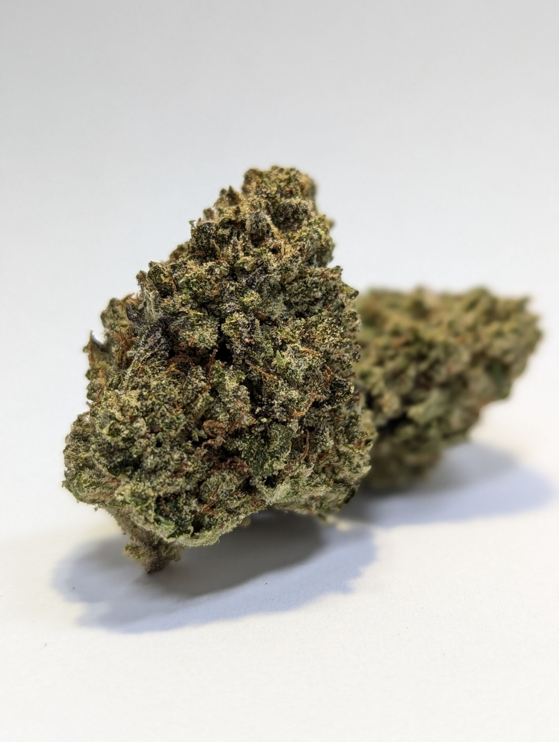 Flower_Cherry Pie (1)