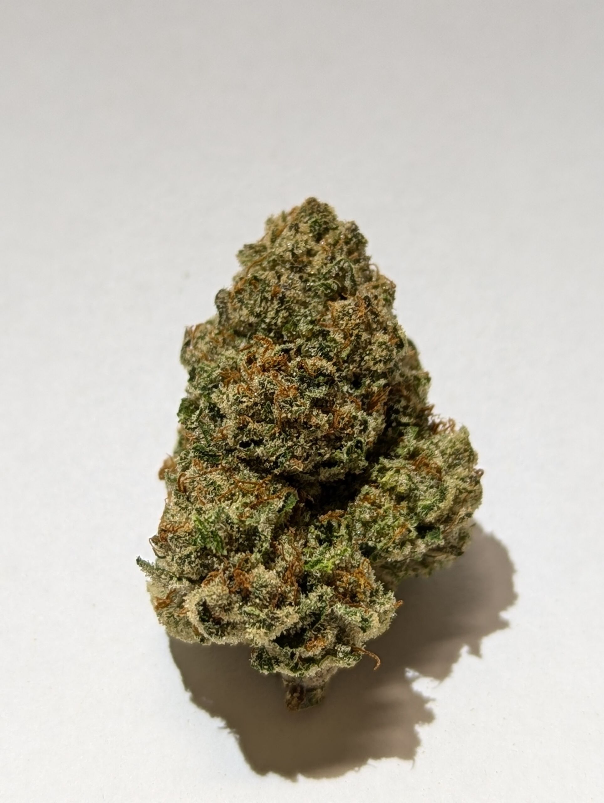 Flower_Lemon Cherry Sherbet
