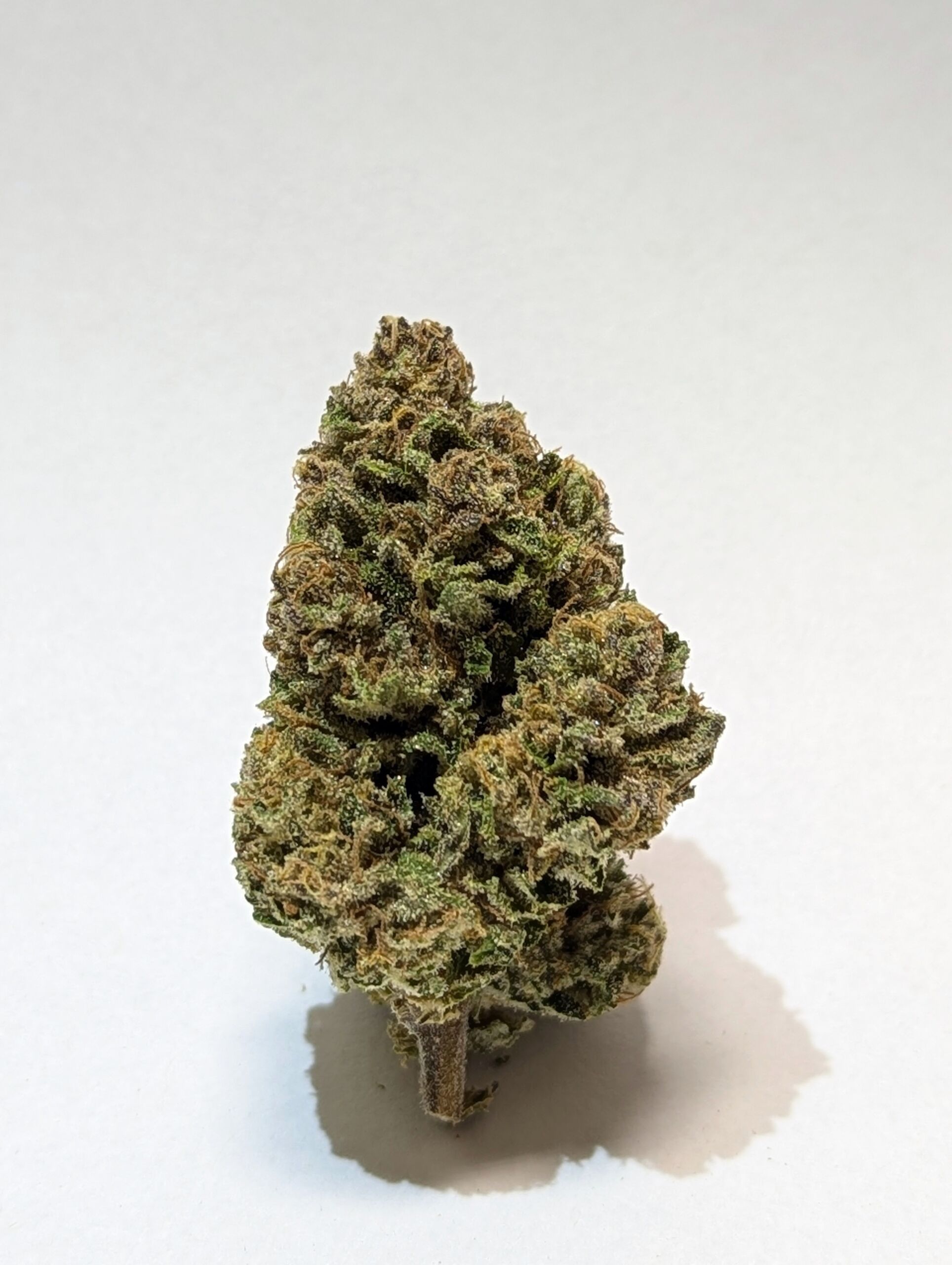 Flower_Persian Triangle